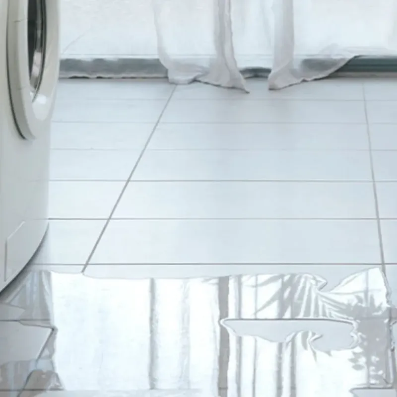 Appliance Leak Cleanup in Montcalm County, MI