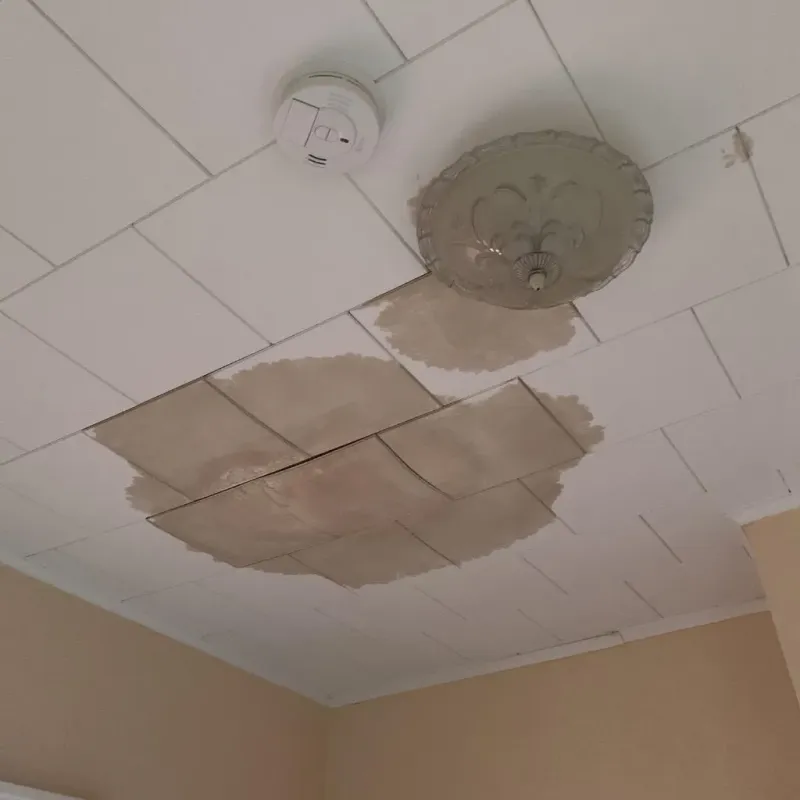 Ceiling Water Damage Repair in Montcalm County, MI