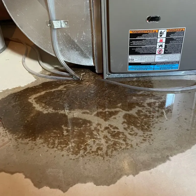 Pipe Burst and Leak Restoration in Montcalm County, MI